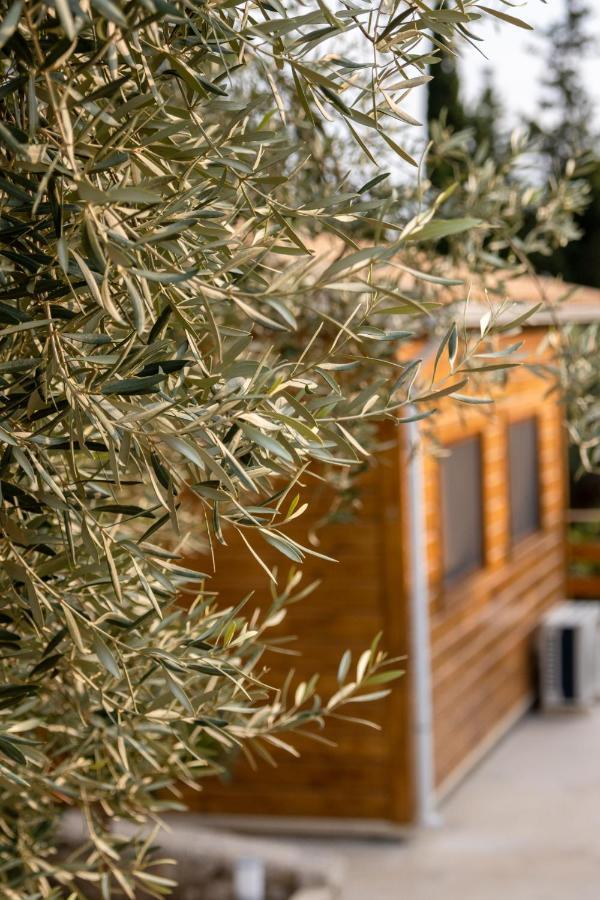 Agrelia Homes Dragano 外观 照片